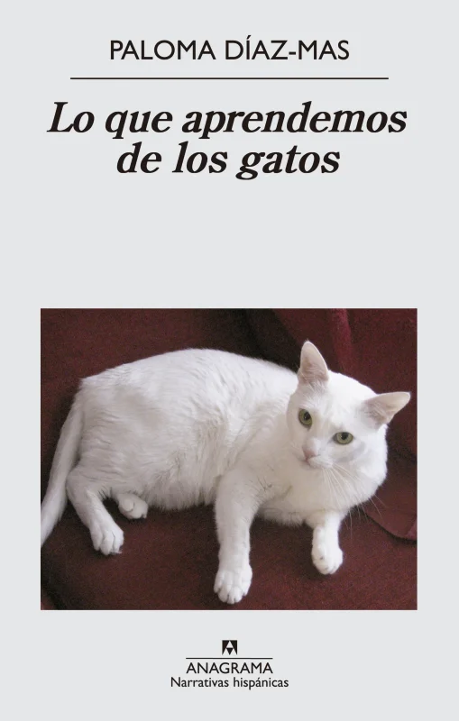 Portada de Lo que aprendemos de los gatos