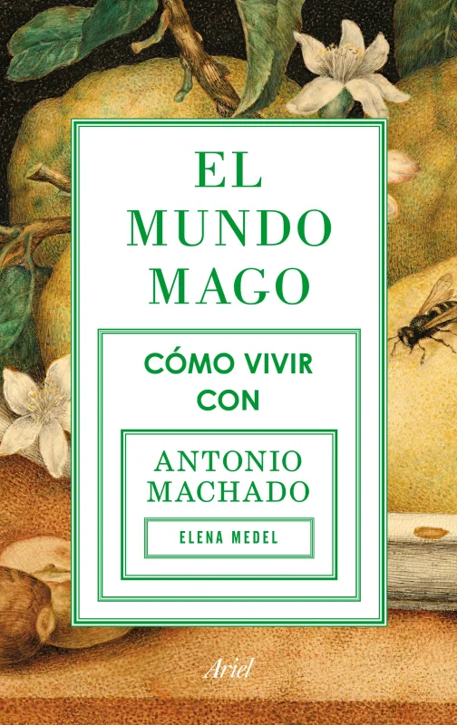 Portada de El mundo mago