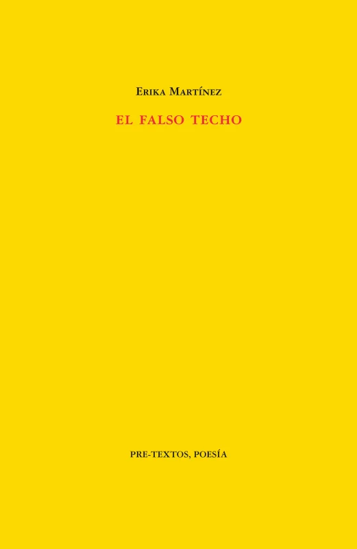 Portada de El falso techo