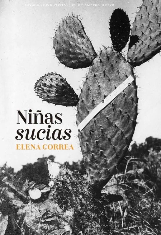 Portada de Niñas sucias