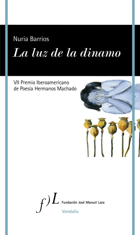 Portada de La luz de la dinamo