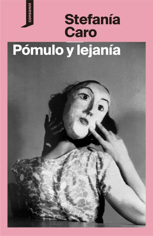 Portada de Pómulo y lejanía