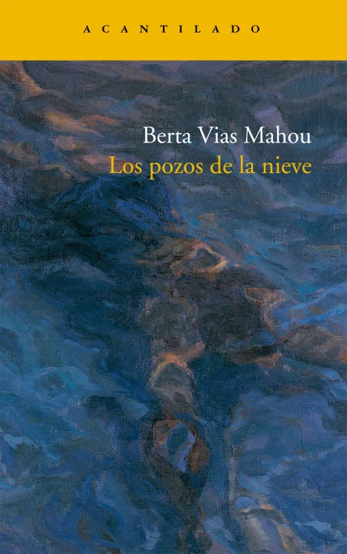 Portada de Los pozos de la nieve