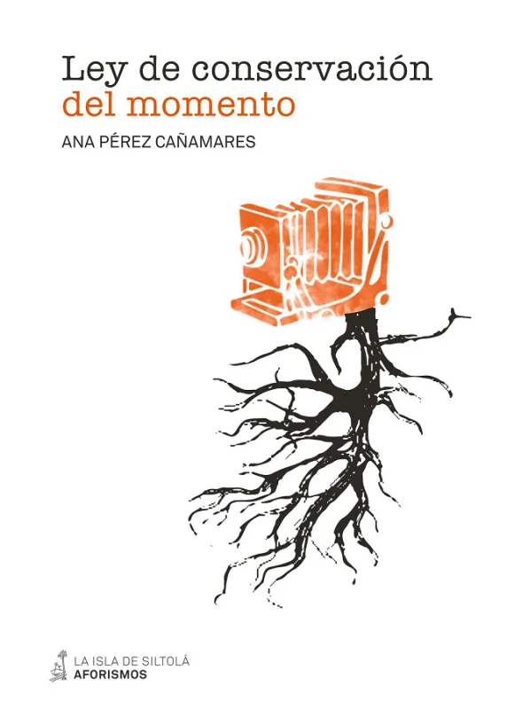 Portada de Ley de conservación del momento