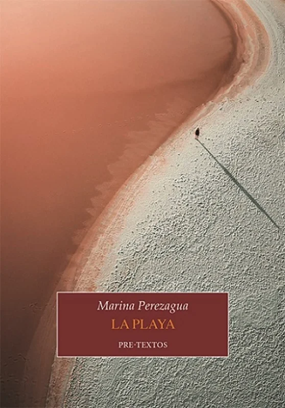Portada de La playa