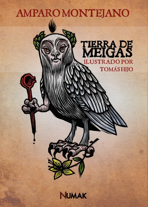 Portada de Tierra de meigas