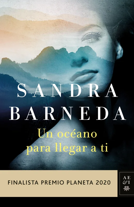 Portada de Un océano para llegar a ti