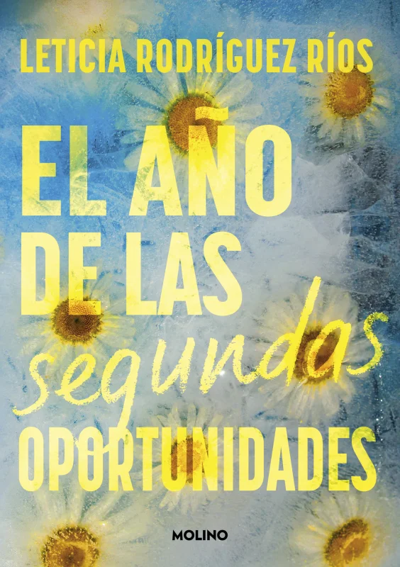 Portada de El año de las segundas oportunidades
