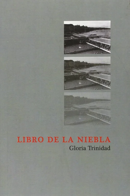 Portada de Libro de la niebla