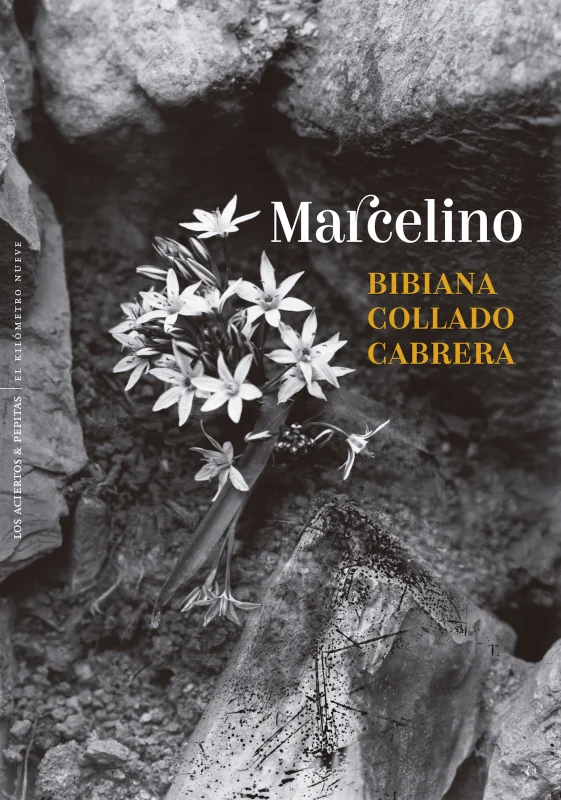 Portada de Marcelino