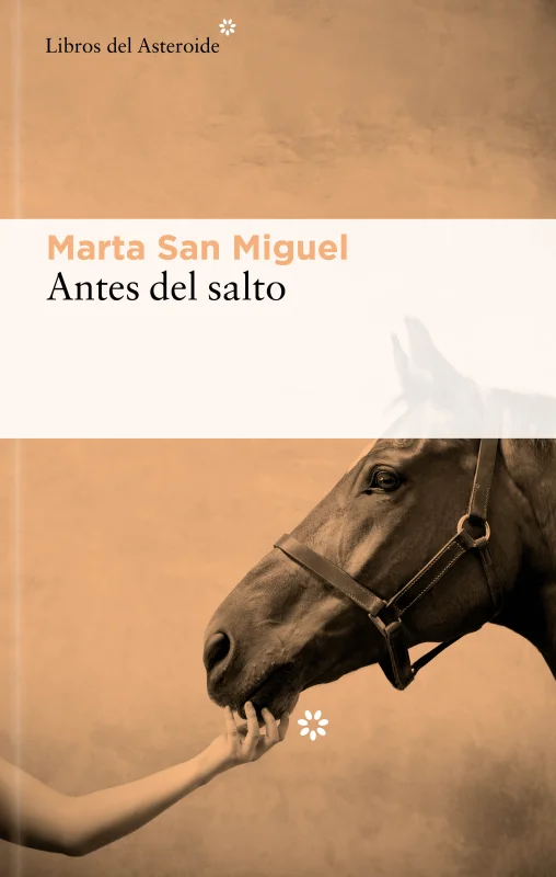 Portada de Antes del salto