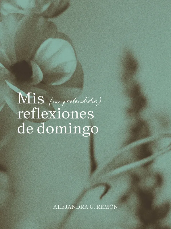 Portada de Mis (no pretendidas) reflexiones de domingo
