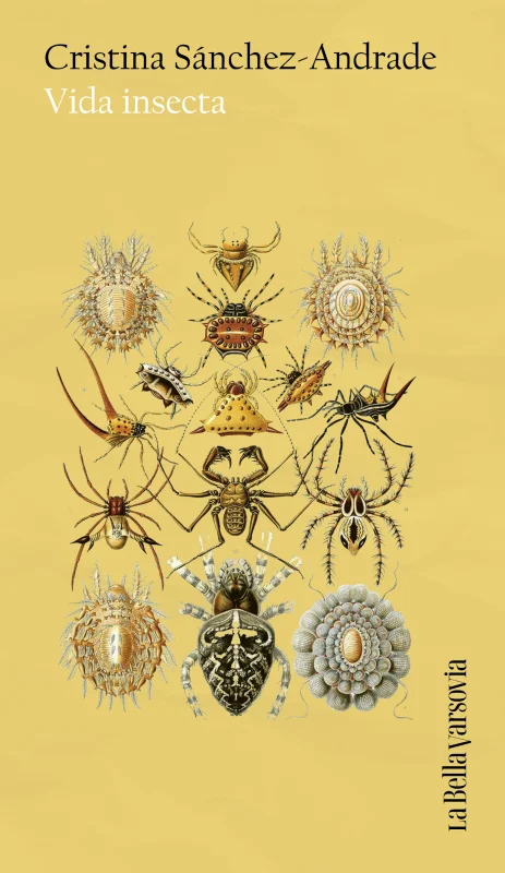 Portada de Vida insecta